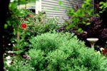 flowergarden_thumb