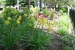 oaksquare_after