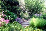 wildflowerwalk_after